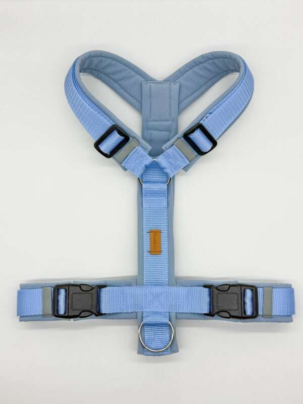 Geschirr Basic Soft
