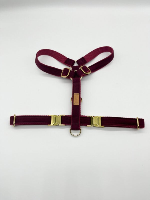 Geschirr Cord Bordeaux
